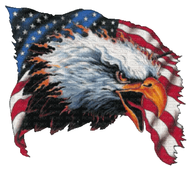Kaz_Creations America 4th July Independance Day American Flag Eagle - Nemokamas animacinis gif