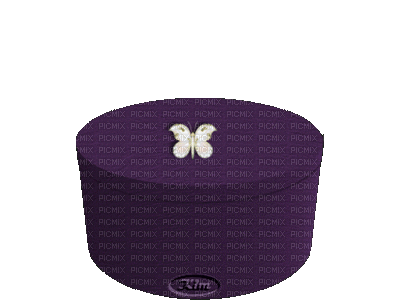 Animated White Rose Purple Box - GIF animado gratis