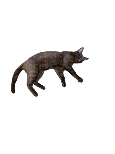 Sleeping Cuppa black cat - png grátis