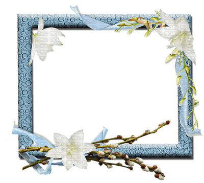 cadre fleurs - darmowe png