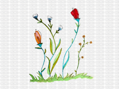 fleurs ( - Bezmaksas animēts GIF