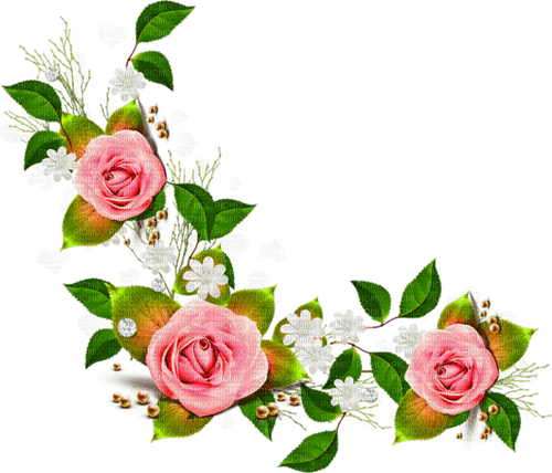 Rose Decoration - darmowe png
