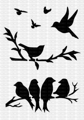 Pájaros - PNG gratuit