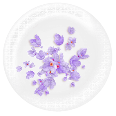 Kaz_Creations Deco Flowers Colours - ilmainen png
