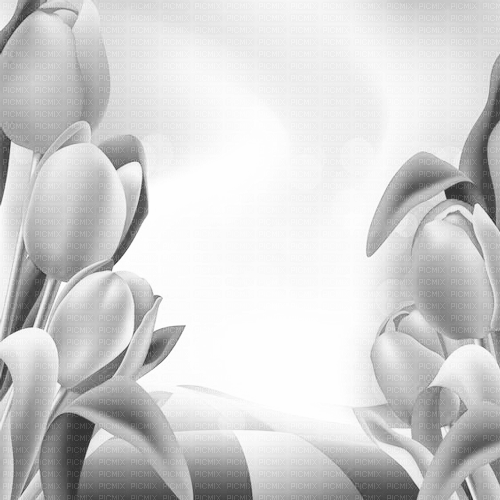 Y.A.M._Spring Summer background   black-white - δωρεάν png