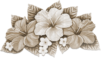 soave deco summer tropical flowers sepia - kostenlos png