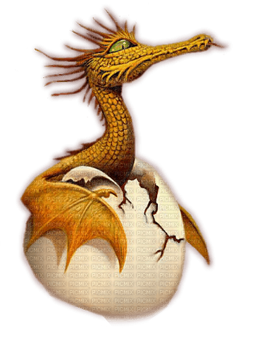 dolceluna fantasy yellow dragon egg crack - besplatni png