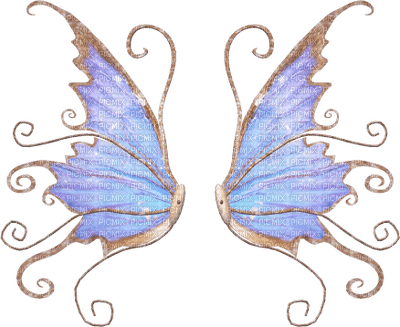 fancy fairy wings - gratis png