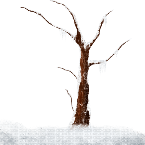 Tronco en invierno - darmowe png