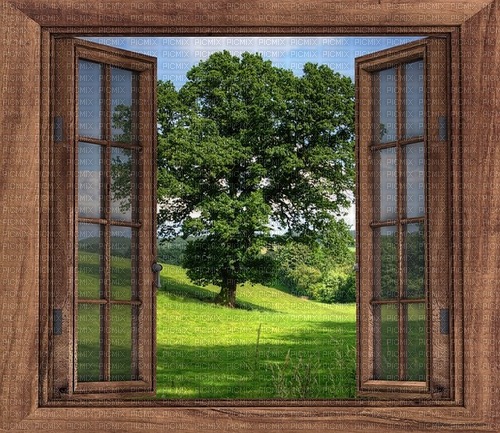 window  nature - ilmainen png
