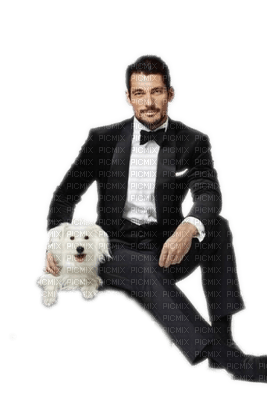 Kaz_Creations Man Homme Dog Pup Dogs - zdarma png