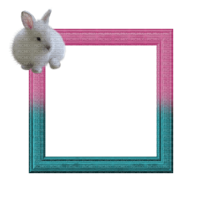 Small Pink/Blue Frame - png gratis