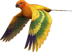 vogel bird - PNG gratuit