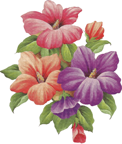 flores  dubravka4 - png grátis