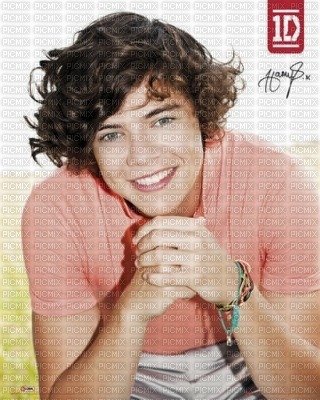 Harry : One direction - zadarmo png