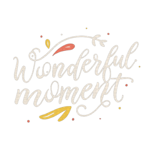 wonderful moment png text - 免费PNG