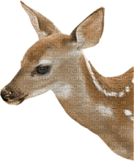 deer katrin - png gratis