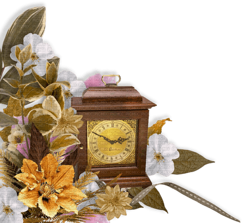 Time Clock Flower Brown White Gold - Bogusia - PNG gratuit