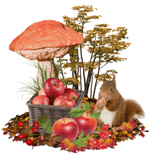 Autumn. Squirrel. Apples. Leila - Free PNG