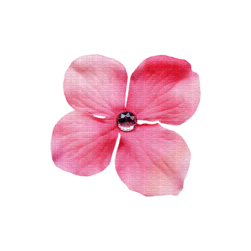 kikkapink deco love valentine pink flower - kostenlos png