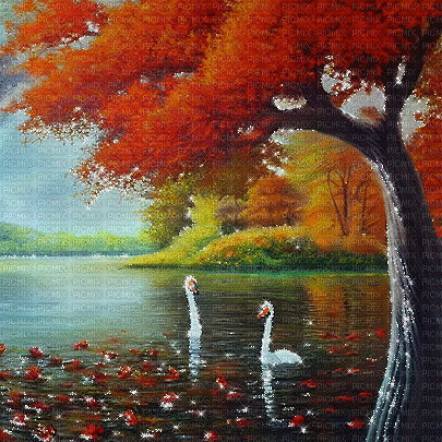 kikkapink autumn background swan lake - GIF เคลื่อนไหวฟรี