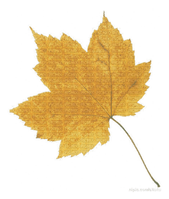 Autumn leaf - besplatni png