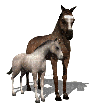 aze cheval s34 marron Brown blanc White - GIF animado grátis