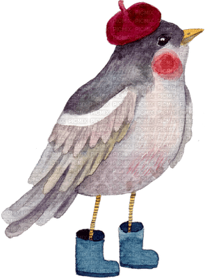 aquarelle bird - фрее пнг