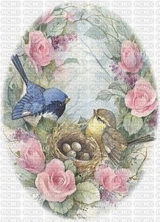 Vögel, Nest, Rosen - 無料png