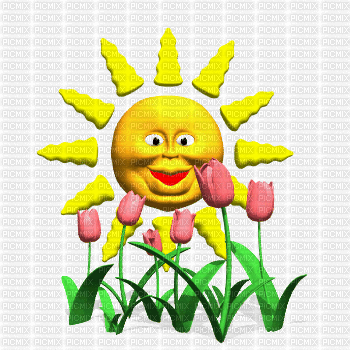 soleil et tulipes - Бесплатный анимированный гифка