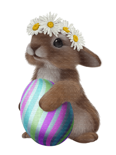 Rabbit.Bunny.Pâques.Easter.Victoriabea - Free PNG
