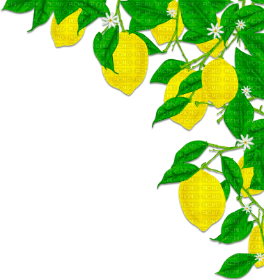 soave deco lemon fruit summer branch corner - 免费PNG