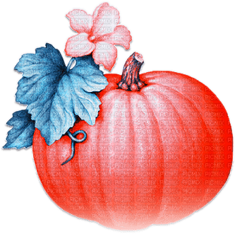 soave deco autumn thanksgiving pumpkin flowers - darmowe png