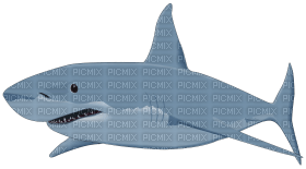 Kaz_Creations Shark - png gratuito