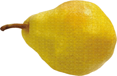 fruits - png grátis