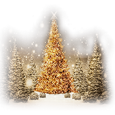fondo arbol navidad oro dubravka4 - png gratuito