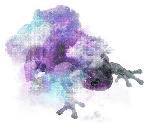 magical air elemental froggy frog - kostenlos png