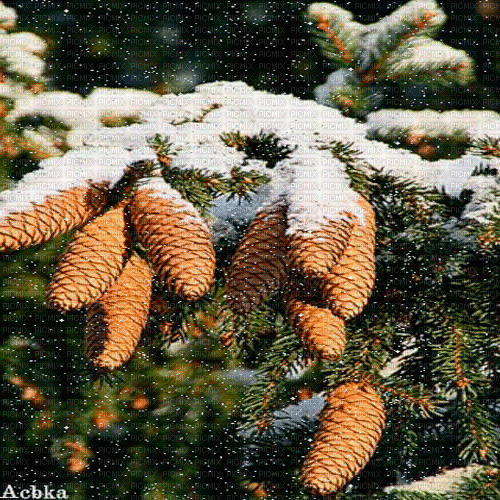 winter  background by nataliplus - Darmowy animowany GIF