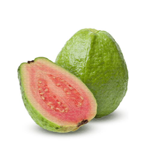 Guava - Free PNG