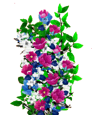 nbl-flower - Безплатен анимиран GIF