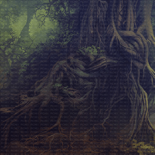 Y.A.M._Fantasy forest background - бесплатно png