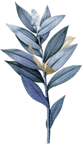 blue leaves Bb2 - zadarmo png