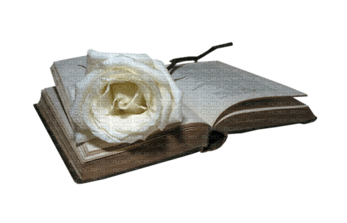 Book.Livre.Libro.Rose blanche.Victoriabea - nemokama png
