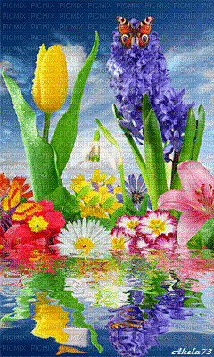 spring flowers - Ingyenes animált GIF
