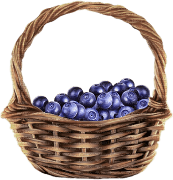 Blueberries - Bogusia - 免费PNG