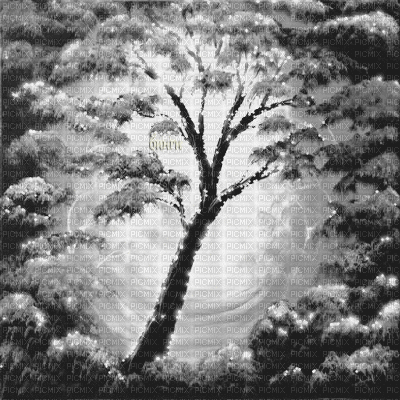 Y.A.M._Autumn background black-white - Darmowy animowany GIF