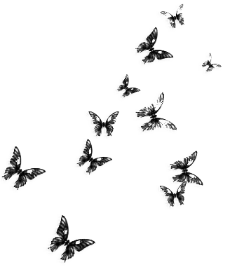 Black Butterflies - ücretsiz png