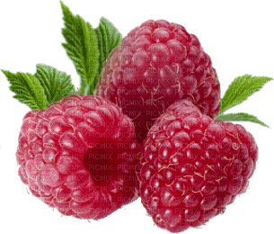 raspberries bp - бесплатно png
