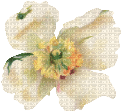 fleur blanche.Cheyenne63 - ingyenes png
