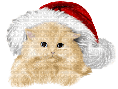 Kaz_Creations Christmas Cats Cat Kitten - gratis png